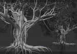 High quality Large banyan tree 11