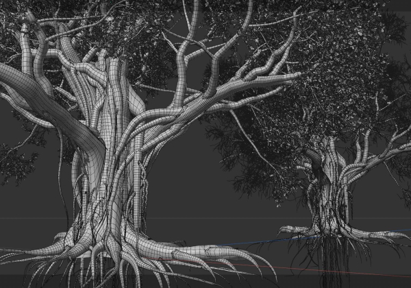 High quality Large banyan tree 11