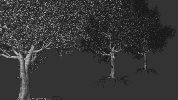 High quality Maple tree 01
