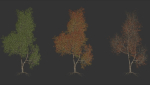 High quality Maple tree 02