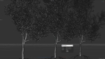 High quality Maple tree 03