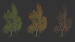 High quality Maple tree 04