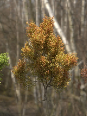 high-quality-maple-tree-06-3d-model-ce42a47453