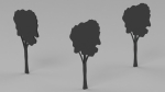 High Tree Silhouette