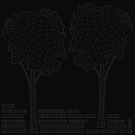 High Tree Silhouette