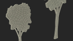 High Tree Silhouette