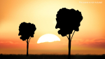 High Tree Silhouette