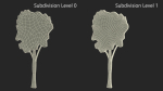 High Tree Silhouette