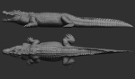 Hight detailed crocodile model