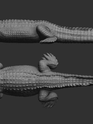 Hight detailed crocodile model