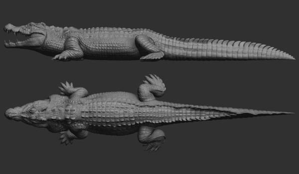 Hight detailed crocodile model