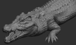 Hight detailed crocodile model