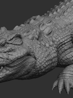 hight-detailed-crocodile-model-3d-model-231f92c674