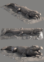 Hight detailed crocodile model