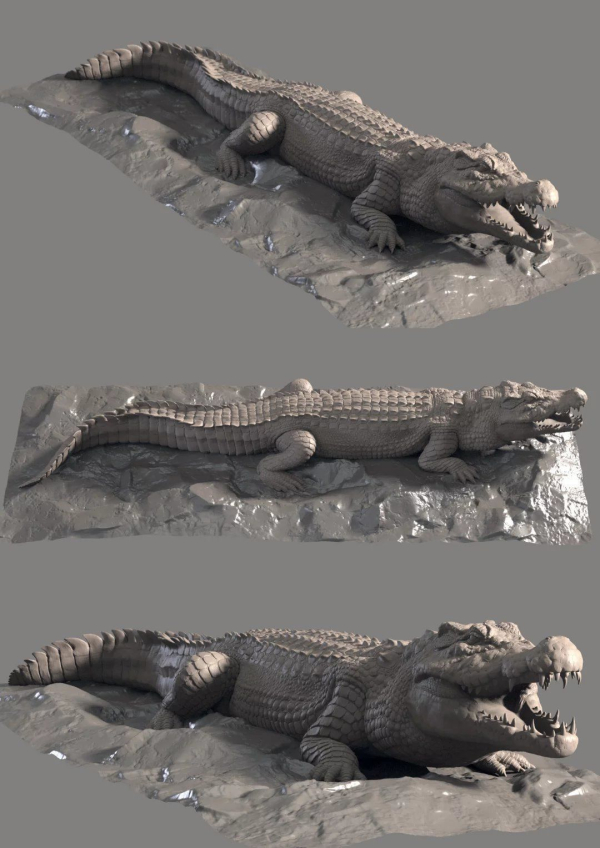 Hight detailed crocodile model