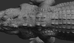 Hight detailed crocodile model