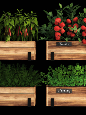 home-plants-3d-model-cf563f3fdb