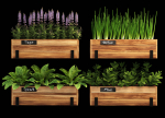 Home plants