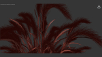 Hordeum jubatum Foxtail barley 3D Model 02