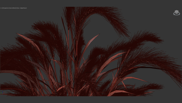 Hordeum jubatum Foxtail barley 3D Model 02