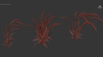 Hordeum jubatum Foxtail barley 3D Model 02
