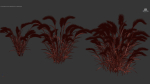 Hordeum jubatum Foxtail barley 3D Model 02