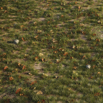 House Grass or Lawns