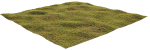 House Grass or Lawns