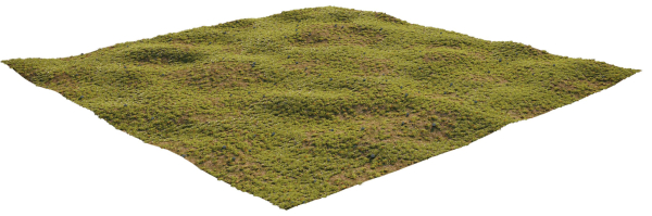 House Grass or Lawns