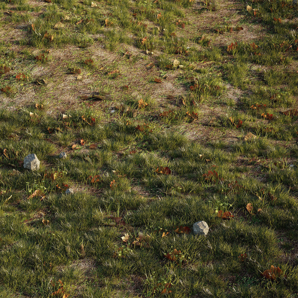 House Grass or Lawns