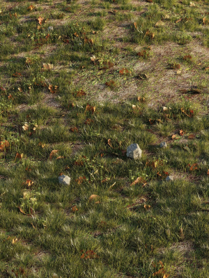 house-grass-or-lawns-3d-model-max-obj