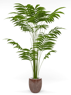 house-plant-3-3d-model-max-obj-mtl-fbx