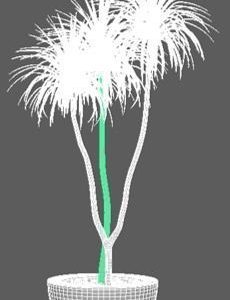 house-plant-3d-model-6b76703982