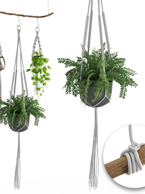houseplant-51-3d-model-max-obj-fbx-mat