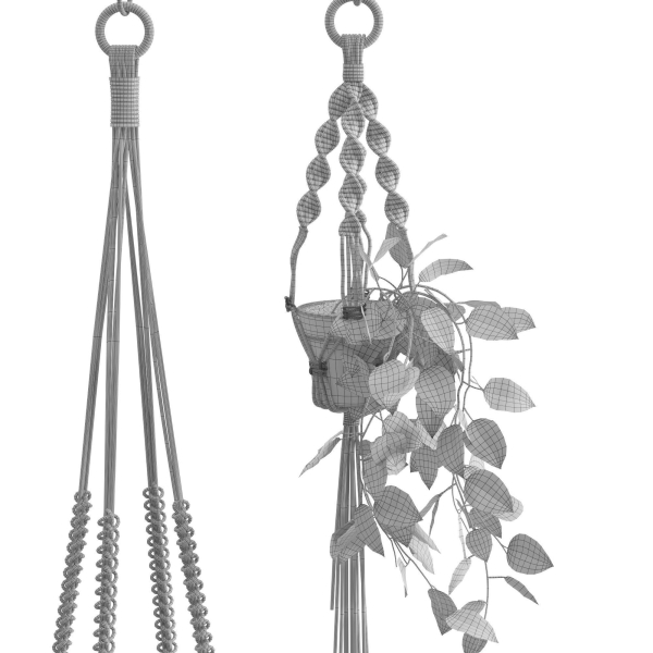 Houseplant 51
