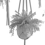 Houseplant 51