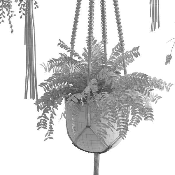 Houseplant 51