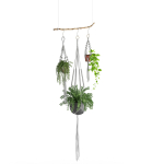 Houseplant 51