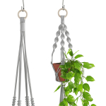 Houseplant 51