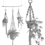 Houseplant 51