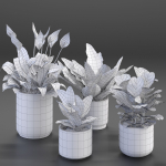 Houseplant 54