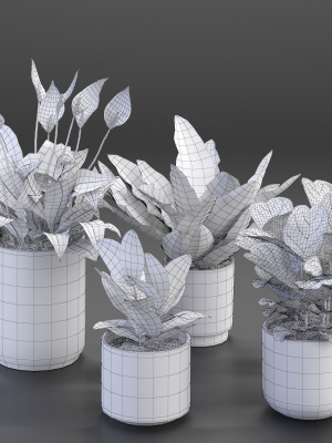 houseplant-54-3d-model-max-obj-fbx-mat