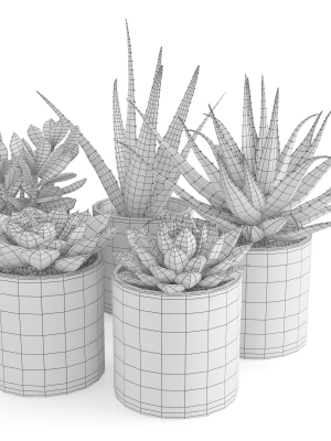 houseplant-63-3d-model-max-obj-fbx