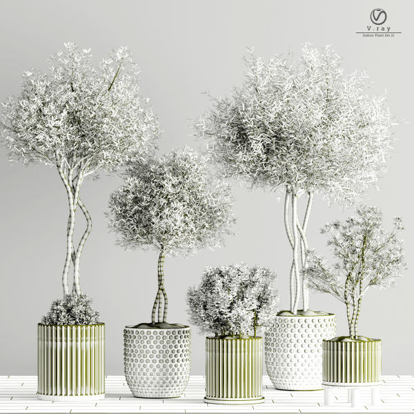 houseplants-indoor-02 five potted plants on wooden table