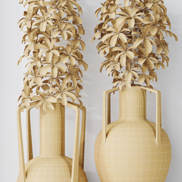 HQ HousePlants Schefflera Arboricola Umbrella Set04