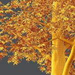 HQ Plants Ash Tree