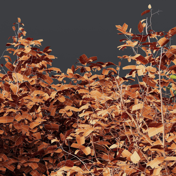 HQ Plants Cornus sanguinea