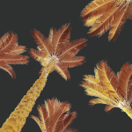 HQ Plants Phoenix Dactylifera Date Jurassic Palm Tree
