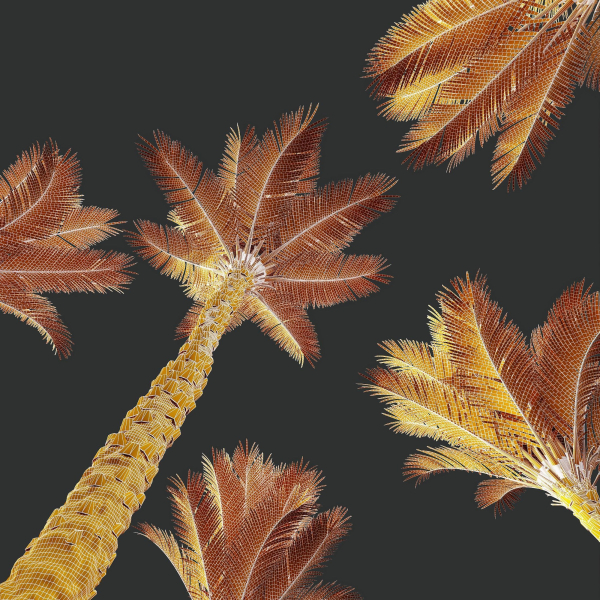 HQ Plants Phoenix Dactylifera Date Jurassic Palm Tree