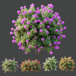 HQ Plants Rhododendron Shrub Arboreum Bush